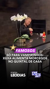 A Rainha dos Baixinhos não faz distinção e ama todos igualmente: inclusive os morceguinhos. O marido da cantora revelou os bastidores da Batcaverna, quer dizer, da casa do casal, e mostrou Xuxa preparando o jantar dos baixinhos noturnos. VEJA! | Leo Dias