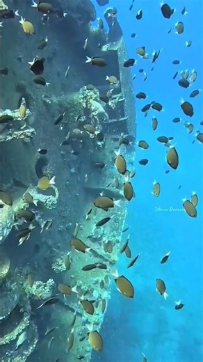 Titanic In 2022 🥺💔