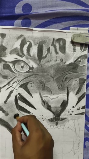 Siberian tiger drawing edit ♾️ #straykids