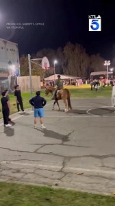 125K views · 490 reactions | This deputy isn’t horsing around when it comes to his on-court skills. https://ktla.com/news/california/california-deputy-plays-a-whole-new-version-of-h-o-r-s-e/ | KTLA 5 News | Facebook