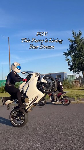 Vibing out with the koala! --- Clip by @dankstunts | Moto Loot