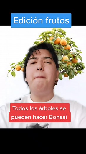 Bonsai Frutal: Arte en Miniatura en México