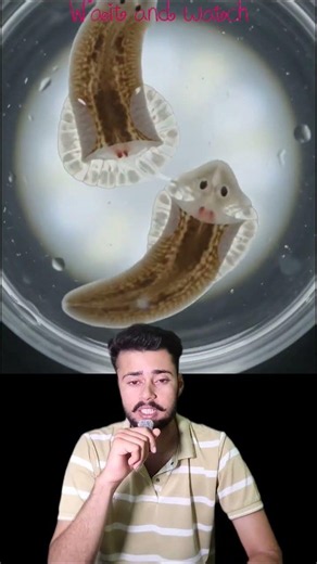 The Animal That Can't Die