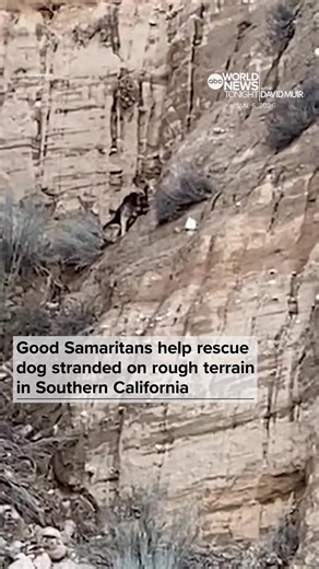 Two rescuers braved rushing waters in Hesperia, #California, to reach a #Germanshepherd stuck on a mountainside. After crossing the water and reaching the #dog, the waters grew more aggressive – leaving the rescuers stuck on an embankment with the dog. After a couple of hours, #SanBernardino County Fire Department crews were able to bring everyone safely back to shore using a secured raft. It remains unclear how the dog ended up on the mountain or how long it was out there, but the dog and every