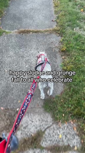 Exploring Sludge Metal and Grunge Music