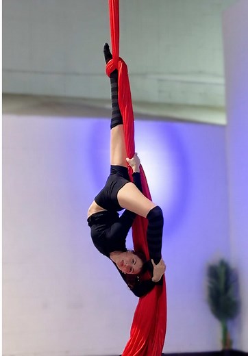 Dynamic Aerial Silks Performance in Circus
