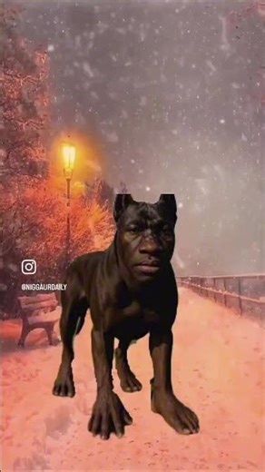 Instagram Memes Vol 83