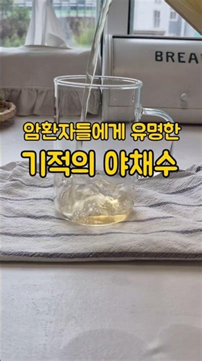 암예방에 좋은 기적의 야채수 원본대로 만들어봤어요
