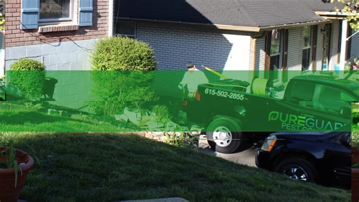 Crawl Space Encapsulation Nashville, TN Considering encapsulating your crawl space? Learn more about controlling moisture in your crawl space and why it is a popular way to maintain a healthy and structurally sound home. https://www.pureguardpest.com/crawl-space-encapsulation.php | PureGuard Pest Solutions