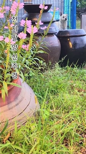 #천지팔양신주경 #범철스님#선재다원#선재의불교음악
