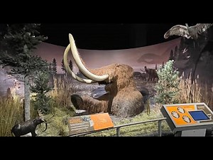 Crazy things you don't know about Indiana