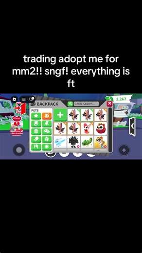 dm or comment to trade! #roblox #adoptme #robloxfyp #crosstrade #mm2 | Roblox