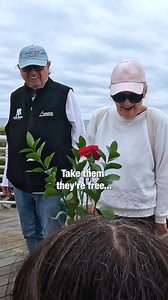 345K views · 21K reactions | “Nothing like this has ever happened to me” 凉❤️ If this made you smile, send a star and help us do more! #surprise #strangers #money #love #kindness | MDMotivator | Facebook