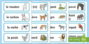 French Animal Word Cards