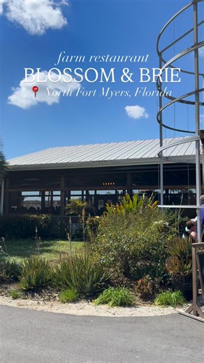 Blossom & Brie is Florida’s must-try farm-to-table restaurant. 🌾 Think fresh-caught seafood, seasonal greens straight from our garden, and chef-inspired dishes that change with what’s growing seasonally. Add in live music, stunning oak trees, and the company of our farm friends, and you’ve got an experience you’ll never forget. What’s your favorite thing about Blossom & Brie - the food, the atmosphere, or the animals? Or maybe all three? | Blossom & Brie