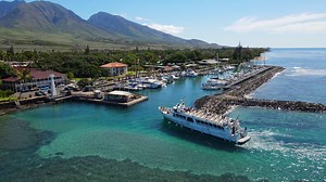 35K views · 4.6K reactions | One of the best whale watches we had this season was with Hawaii Ocean Project a few weekends ago. Here's our trip wrapped up in less than a minute. | Maui Hawaii | Facebook