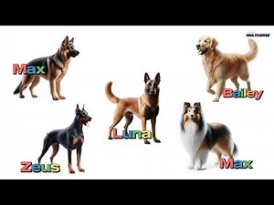 The Most Popular Dog Names by Breed