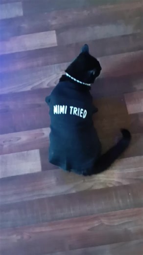 Pamela Mays (@pamela_j_mays)’s videos with Mama Tried - Merle Haggard