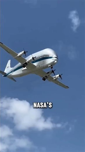 Airplane With the World’s Biggest Forehead!