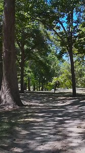 Summer is over, but the fun is here to stay at San Marcos River Resort. Our camp-resort is open year-round with attractions and activities the whole family will enjoy. | San Marcos River Resort