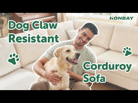Dog Claw Resistant Corduroy Sofa | Stylish & Durable Sofas for Pet-Friendly Homes！