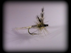 Fly Tying: Adams Dry Fly (Catskill-style)