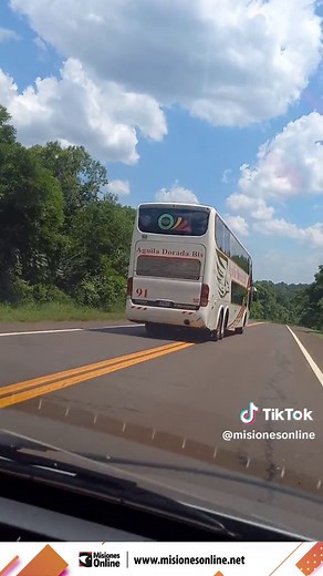 Avistamiento de Animales Silvestres en Ruta Nacional 12 - Testimonio Impactante