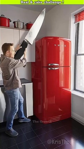 Cake vs real challenge!