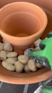 Create a Powerful Backyard Bug Repellent With This Simple DIY