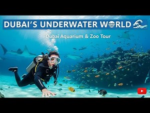 Inside Dubai’s Underwater World 🌊 | Dubai Aquarium & Zoo Tour