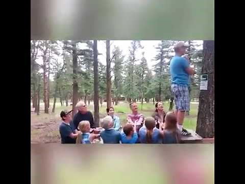 Trust Fall Fail Compilation