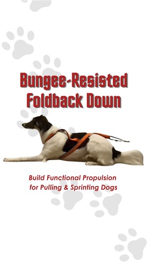 2.8K views · 457 reactions | Harnessed strength isn’t just about...