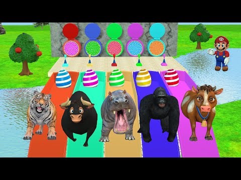 Long Slide Game With Animals Cow Buffalo Mario ss8 - Animal Fountain Crossing Funny 3d Animation