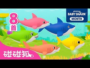 鲨鱼宝宝 ‪@Bebefinn简体中文‬ + 更多｜连续播放｜精选儿歌大全｜Baby Shark Chinese｜中文儿歌｜碰碰狐Pinkfong