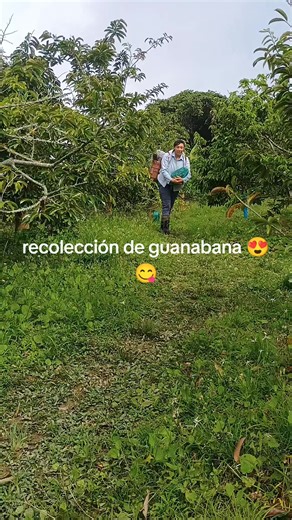 Videos de Marín Mónica (@monicayuranychave) con “original sound - user97681268589”
