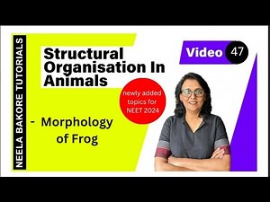Morphology of Frog | NEET 2024 | Neela Bakore Tutorials