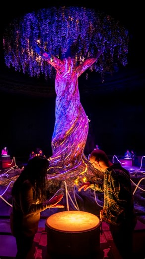 MOMENT FACTORY on Instagram: "🪴 Uncover a secret world of extraordinary plants with La Serre des Mondes at Futuroscope! Step inside a botanist’s workshop for an interactive walkthrough of discovery. As you unveil the wonders all around through observation, touch, sound, and smell, help restore balance and protect the plants. In this second collaboration with Futuroscope, the studio takes multisensory experiences to the next level, creating new ways for guests to engage through immersive 