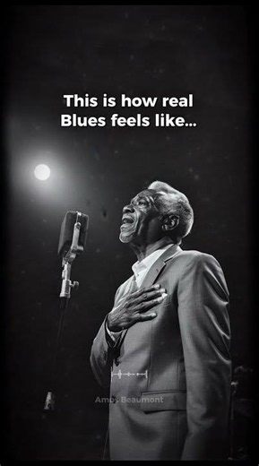 You stumbled into a 1960s hidden Jazz bar 🥃 #blues