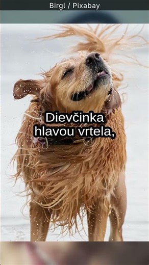 Dievčinka hlavou vrtela - Debilný vtip