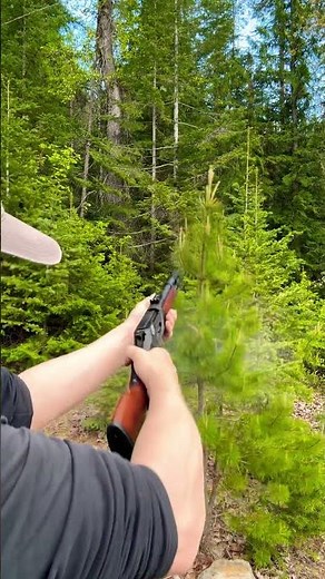 ✅out😳chopping down tree with this Winchester model 1894 mares leg 410 shotgun caliber carbine