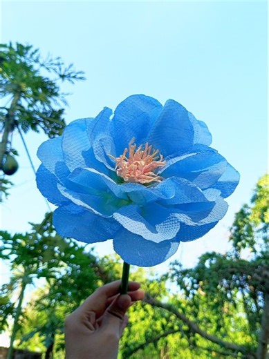 DIY peonies | How to make a peony Flower from paper towels #shortsviral #diy #art #rose #aesthetic