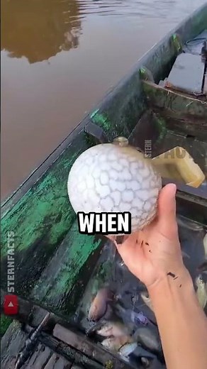 The Incredible Inflation of Pufferfish