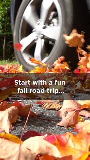 👻 You know it's officially spooky season when Phantom Farm opens their bone-chilling, haunted farm attraction. You'll be shaking in your shoes and trembling with fear and you'll still want to go back for more! Wear comfortable shoes, dress for the weather and keep an eye on Phantom Farm's social media channels for any updates. The barn contains flashing lights, strobe effects, fog, and loud sounds which may not be suitable for individuals with epilepsy, light sensitivity, or certain medical con