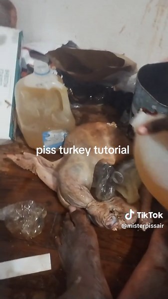 Thanksgiving Turkey Cooking Tutorial for Beginners