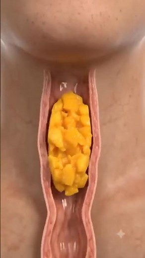 How We Swallow Food? | Digestive System 3D Animation 🤯 #shorts