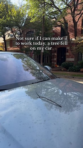 Tree Fell on My Car - Can't Make It to Work Today