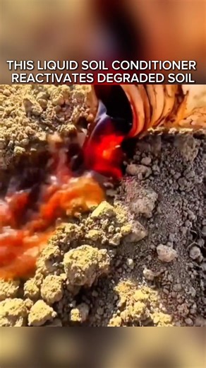 THIS LIQUID SOIL CONDITIONER REACTIVATES DEGRADED SOIL#SoilHealth #Agriculture #Farming