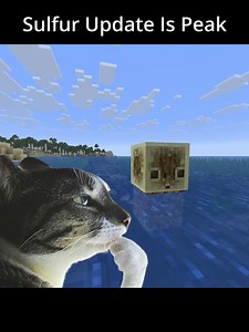 sulfur update is peak 8 #Minecraft #funny #foryou pinball concept and build by Phoenix SC