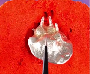 1.6M views · 1.5K reactions | Gravestone for his beloved dog! | Green Bean | Facebook