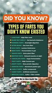 💨 15 Hilarious Types of Farts You’ve Probably Let Slip 😅 - Yes, there’s more than one kind of toot! From “morning farts” to “chocolate farts” 🍫💨, this gas guide breaks down what your body’s trying to tell you — in the funniest way possible. Gut health has never been this entertaining! 😂 #GutHealth #FartFacts #DigestiveHealth | Health Spirit Body